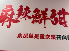 -聂发财重庆江湖菜(解放碑店)