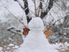 -鬼笑石后山停车场
