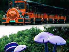 -杭州野生动物世界