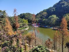 -广州市帽峰山景区
