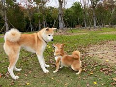 -上海海湾国家森林公园