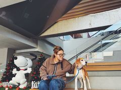 -中粮·祥云小镇