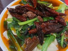 -安徽正宗牛肉板面(南十三路店)
