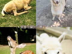 -老鼎万春卤菜(五代传承创始老店)