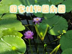 -国家植物园南园