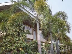 -倒立小屋