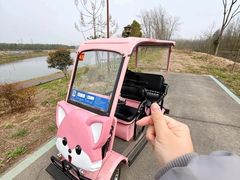 -合肥滨湖国家森林公园