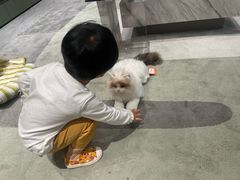 -红星美凯龙(上海沪南店)