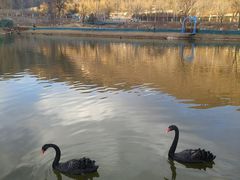 -静之湖度假区