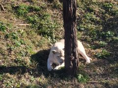 -石家庄市动物园