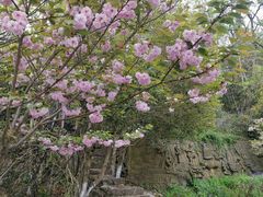 景点-紫金山山顶公园