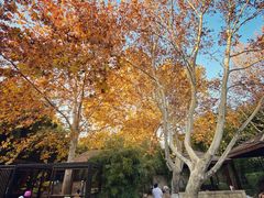 -春晖园度假酒店温泉