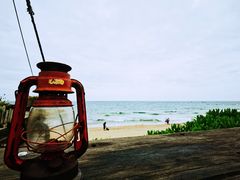 -东寨港红树林旅游区