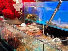 -苏格里岛自助烤肉海鲜火锅(成都金牛万达店)