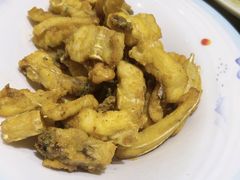 -港升鱼师傅·中山脆肉鲩