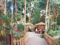 -二荆条·蜀鲜汇城市森林火锅