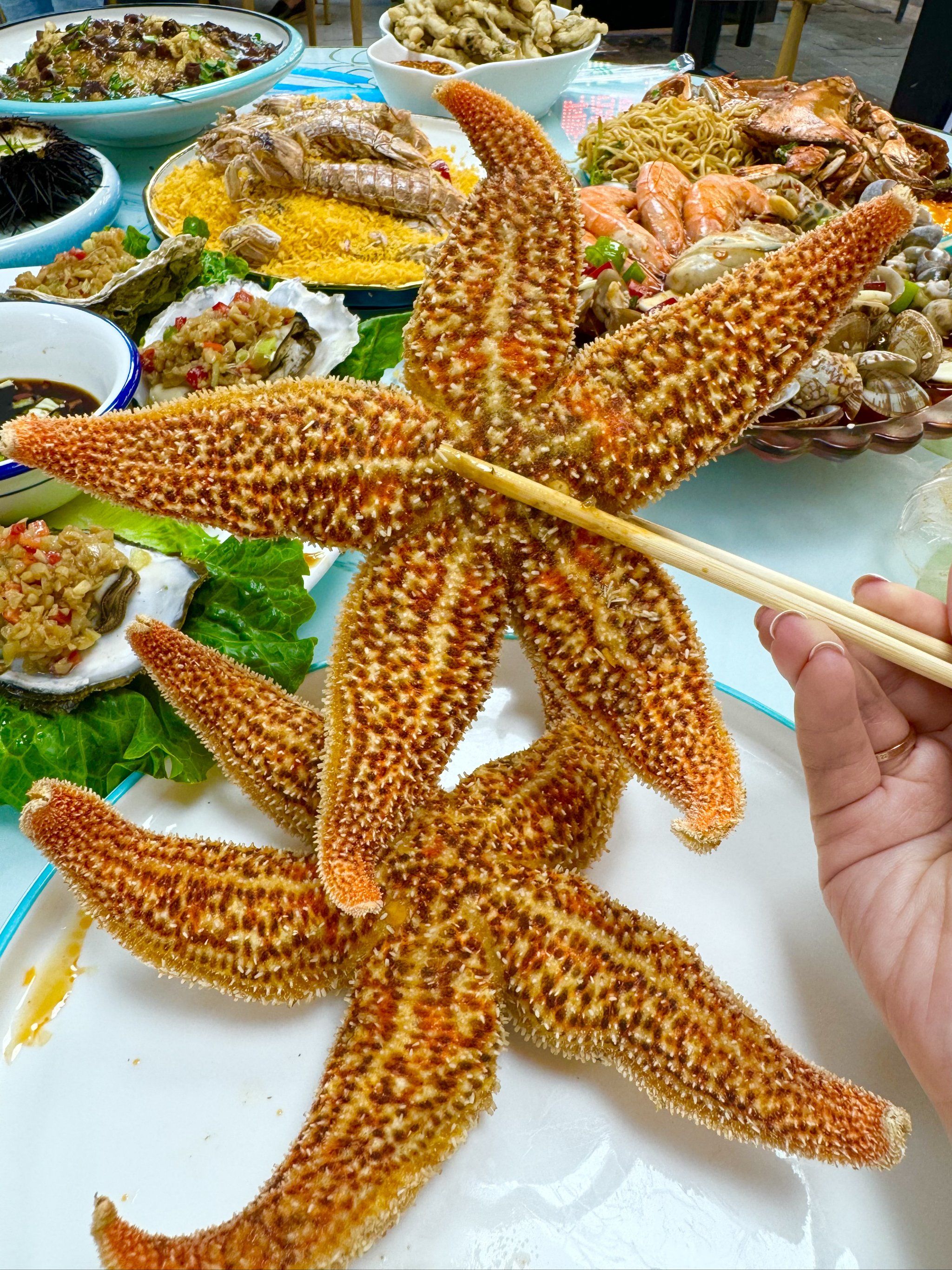 这家啤酒屋的菜太特色吧蒸海星我超爱