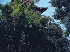 -华西坝(地铁站)