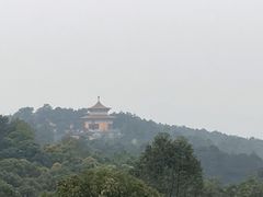 -金水泊山庄·花椒鸡(铁山坪店)