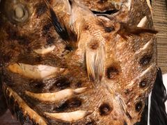 -月下料理(楷林IFC店)