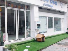 门面新装修-BABYDOG宝贝狗宠物乐园(欧洲城店)