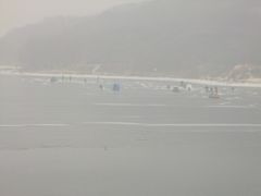 -大鹅岛灶台鱼·铁锅炖(水库路店)