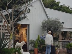 -自由生长植物工作室(深港花卉中心店)