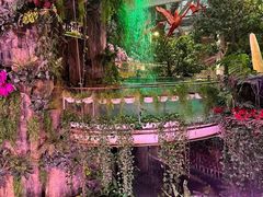 -正佳雨林生态植物园