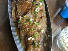 -95号酱骨·一块豆腐(展春园西路店)