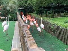 -上海野生动物园