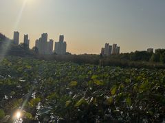 -前关湿地公园