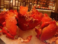 -康莱德酒店·美庭自助餐厅
