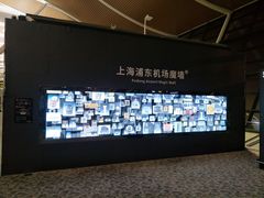 -上海浦东国际机场-T2航站楼