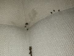 -安德鲁户外烧烤帐篷营地(马泉营店)