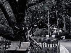 -东风公园