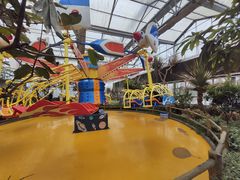 -南宫五洲植物乐园