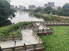 -眉山湿地公园(东坡区)