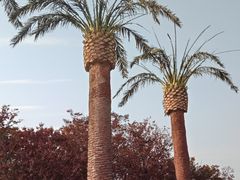 -上海月湖雕塑公园
