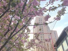 -回龙窝历史文化街区