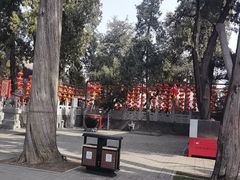 -关林