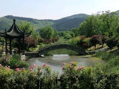 -石塘人家