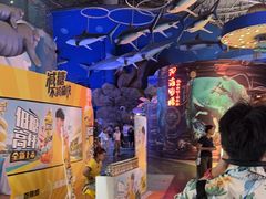 -烟台海昌鲸鲨海洋公园