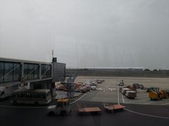 -上海浦东国际机场-T2航站楼