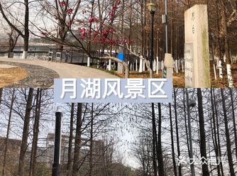 走在不栈道上，都有一种在东湖的感觉了