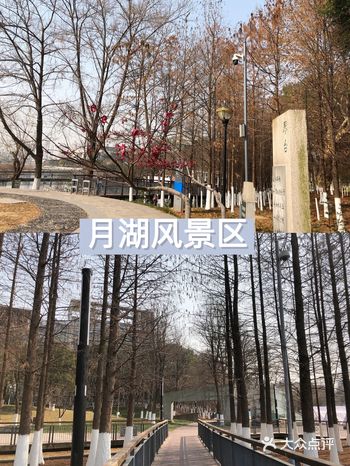 走在不栈道上，都有一种在东湖的感觉了