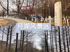 -月湖风景区