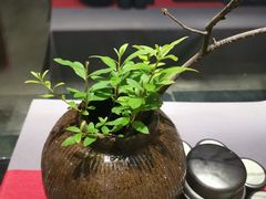 -赏清合茶文化艺术体验馆(百瑞景店)