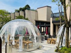 -上海崇明金茂凯悦酒店