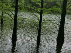 -四明山国家森林公园