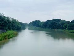 -海珠湖公园
